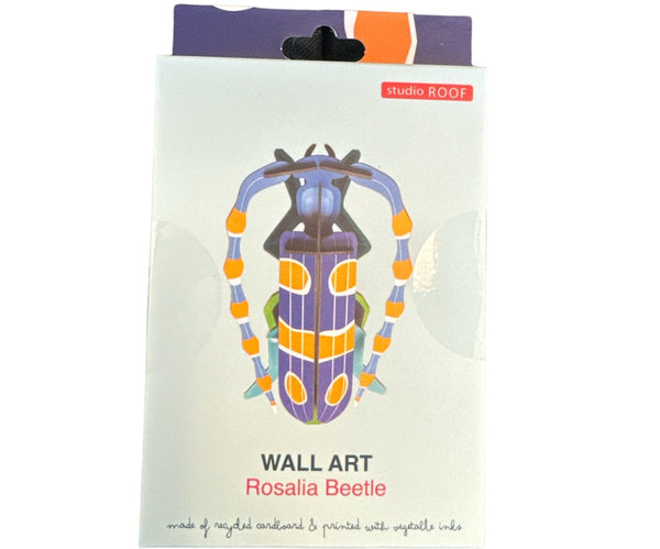 Rosalia Beetle-Studio ROOF